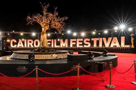 Cairo Film Festival Triumph: Celebrating Artistic Excellence and Cultural Exchange