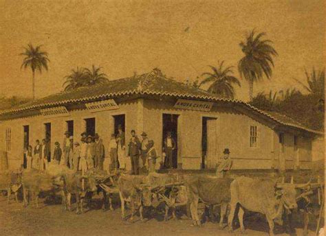 The 1893 Minas Gerais Famine and its Impact on Quilombos: A Story of Resistance, Resilience, and Culinary Ingenuity